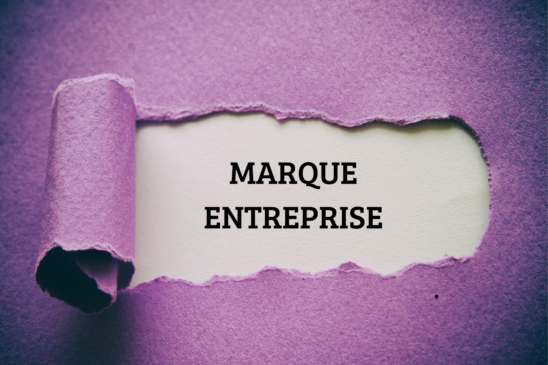 Marketing de marque : la marque entreprise ou distributeur
