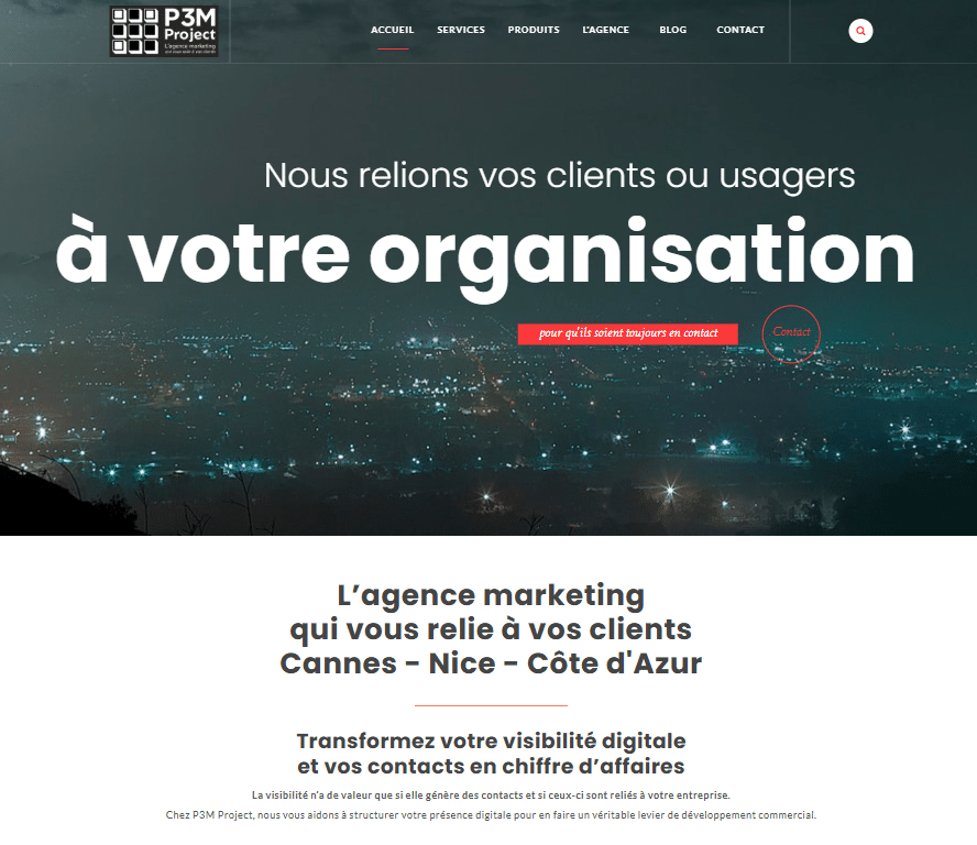 P3M Project - Home Page site web